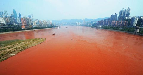 Kỳ lạ nước sông bỗng đỏ như máu