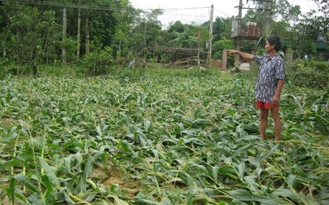 Đổ nát và nỗ lực của con người nơi ‘rốn’ lũ