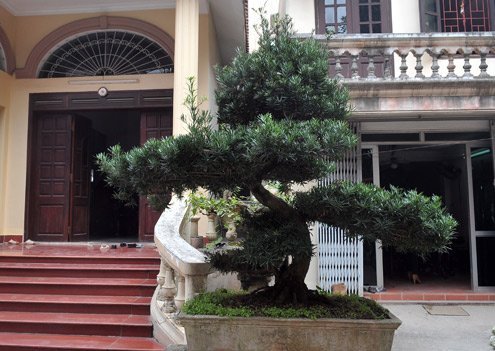 Những món đồ bạc tỷ của đại gia Hà Thành