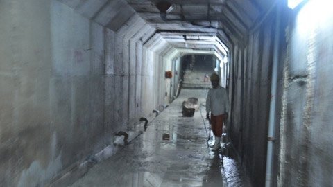 Chuyên gia động đất đến, Trà My liên tục rung chuyển