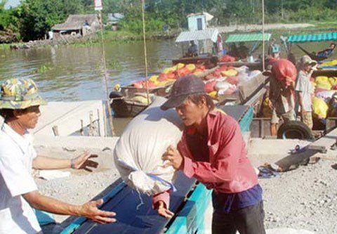 Gạo VN chảy ồ ạt sang Thái Lan, Trung Quốc