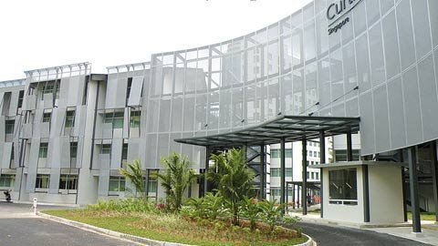 Du học Singapore với 50 triệu đồng/học bổng