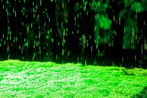 Nghệ thuật đương đại không chỉ có dứt tóc móc mắt