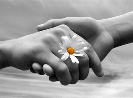 Chia tay giấc mơ một gia đình hạnh phúc