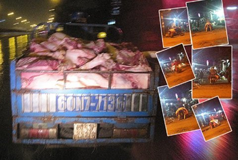 Chợ trộn heo bệnh, heo lành