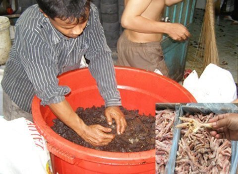 Biến đồ thối thành đặc sản: Công nghệ của kẻ vô lương