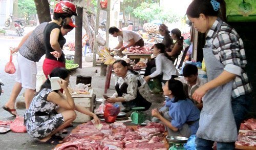 Hà Nội: Chợ cóc 'bao vây', lôi kéo khách