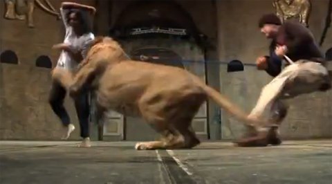 Sư tử bất ngờ tấn công cô gái