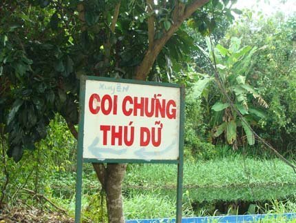Lão kỳ nhân cả đời sống giữa bầy rắn khổng lồ