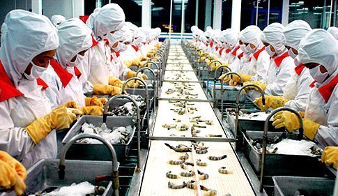 Chiến lược tái cấu trúc: Điều xa xỉ với DN