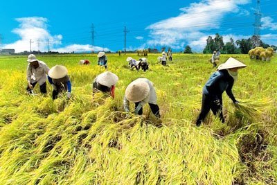 Nói và làm: Bán gạo mua Iphone, nỗi niềm công nghệ cao