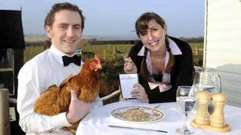 Khách sạn 5 sao dành cho gà