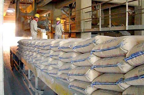 Dự án không thiết yếu, sao lại được bảo lãnh tín dụng?