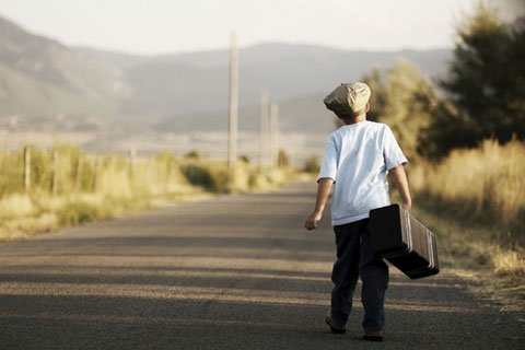 Ổ cắm điện hấp dẫn trẻ em hơn khu rừng?