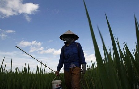 Tập trung ruộng đất và vấn đề xử lý hệ quả