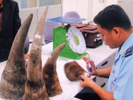 Đại gia Trầm Bê lên tiếng vụ 'mất sừng tê giác'