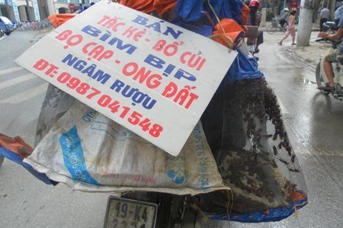 'Thần dược' ầm ầm xuống phố