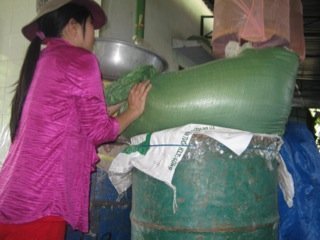 Phú Yên: Hối hả chạy lũ