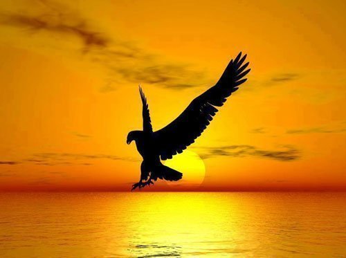 Hãy để chồng được làm… đàn ông!