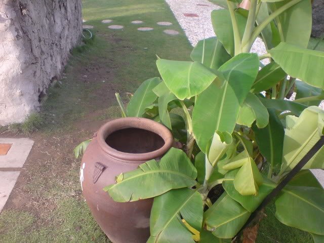 Người mẹ trẻ nhẫn tâm giết con rồi tự sát