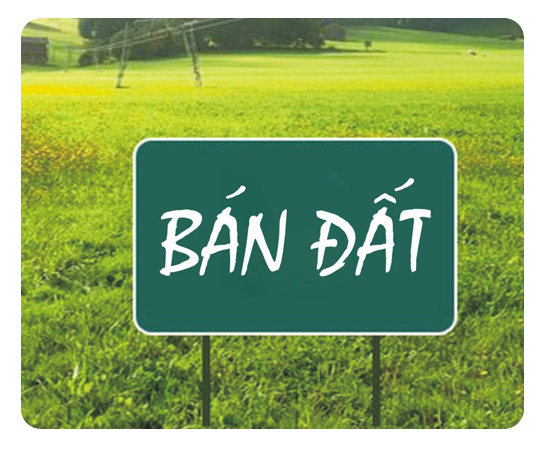 Mua đất nhưng bên bán không chịu tách sổ đỏ