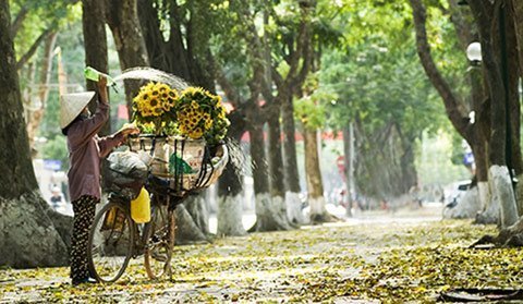 Hà Nội thời khắc say đắm lòng người