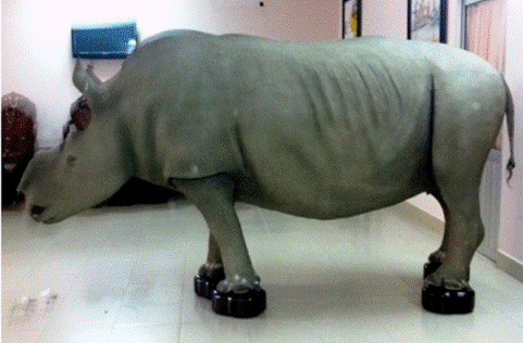 Bi hài sừng tê và những người đàn bà!