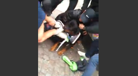 Em bé bị chó dữ tấn công