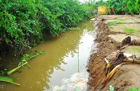 Thời sự tuần: Cá sấu bò vào trường học