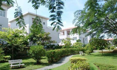 Khó như qua Mỹ tuyển người gói bánh chưng