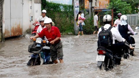 Chuẩn bị chống chọi liên tiếp với triều cường