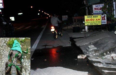 Đánh chết cá sấu sổng chuồng bò lên quốc lộ 1A