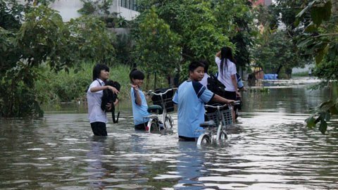 TP.HCM: Khổ ải trước đỉnh triều cường lịch sử