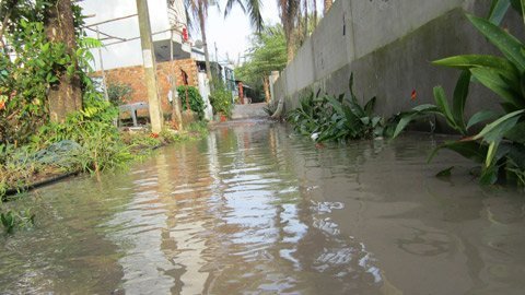 Lời kể của những người tháo chạy khi vỡ bờ bao