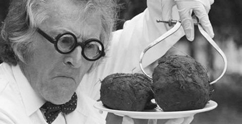 Thị trường 'dậy sóng' với cà phê phân voi giả giá 'cắt cổ'