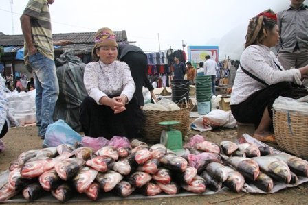 Lạ kỳ phiên chợ “người đứng, cá nằm”