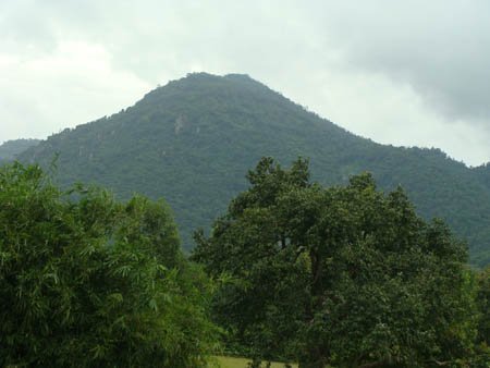 Bí ẩn loài 