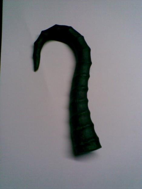 20121025103623 dinhran1 - Dinh rắn - quái thú khắc tinh của rắn