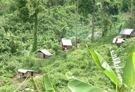 Tin đồn thất thiệt về 'thảm họa động đất'