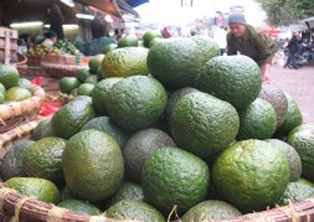 Cam ế do tin đồn