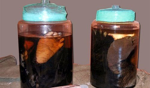 Thất kinh nghe đại gia 'chém gió' về rượu bổ