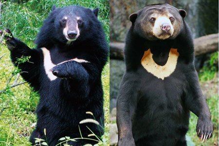 'Phong độ đàn ông' và... rợn người!