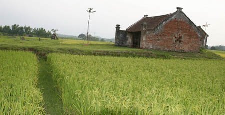 Huyền thoại kho báu bị mất dấu dưới chân chùa Ón