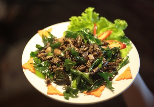 Nhậu côn trùng ở Thủ đô