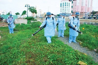 Sốt xuất huyết: Đẩy lùi dịch bệnh từ môi trường sống