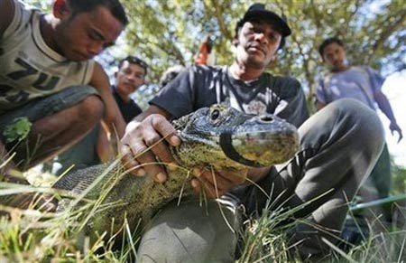 Vô phúc 'đáo tụng đình'
