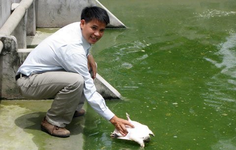 Cởi trói đã đủ chưa?