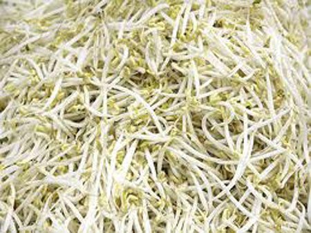 Thu giữ 80.000 lọ hóa chất làm giá đỗ