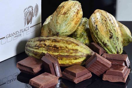 Xây thương hiệu từ cacao Việt với công thức “1+1=3”