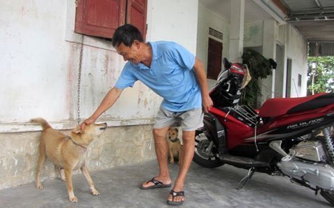 Những pha trộm chó khó tin ở Nghệ An